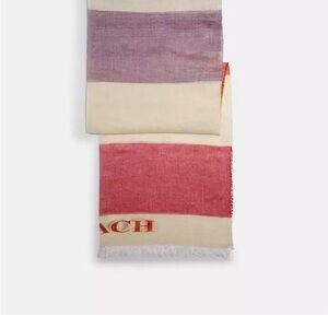 Coach Striped Scarf in Purple, Cream, and Red